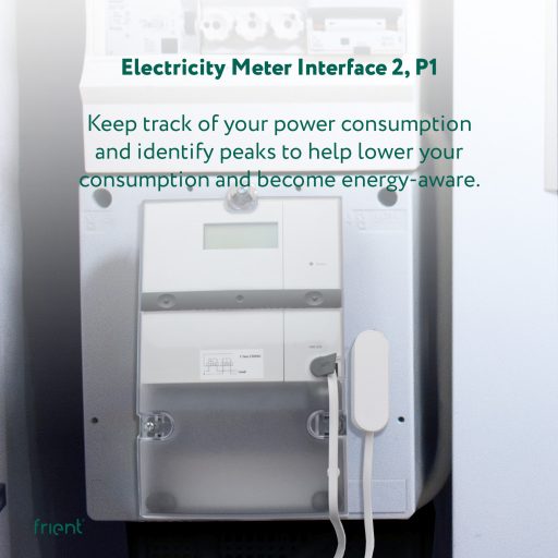 Frient Electricity Meter Interface 2, P1
